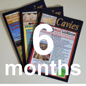 6 month printed subscription to CAVIES magazine