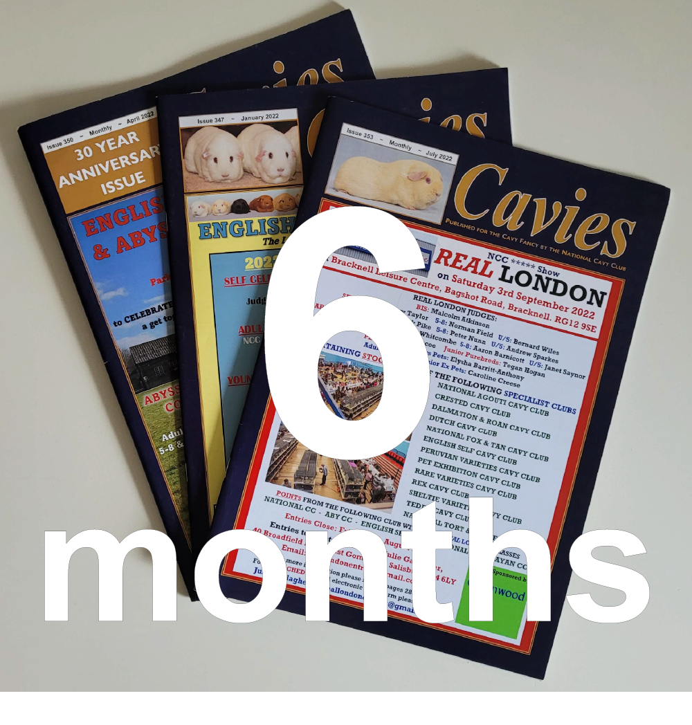 6 month printed subscription to CAVIES magazine