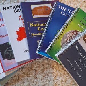 National Handbook Advert