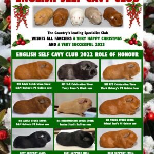 Christmas full page advert