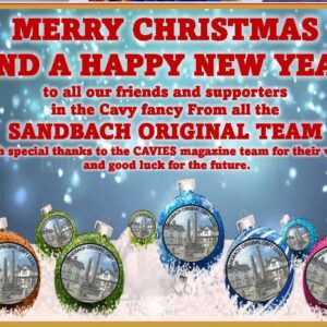 Christmas half page advert