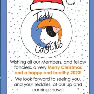 Christmas quarter page advert