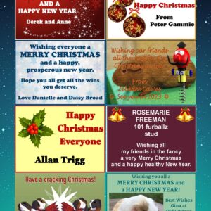 CAVIES Christmas adverts