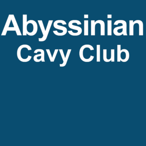 Abyssinian Cavy Club - Adult Membership