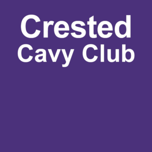 Crested Cavy Club