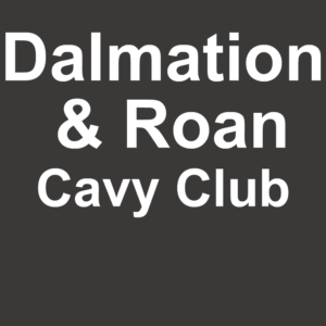Dalmation & Roan Cavy Club
