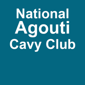 National Agouti Cavy Club