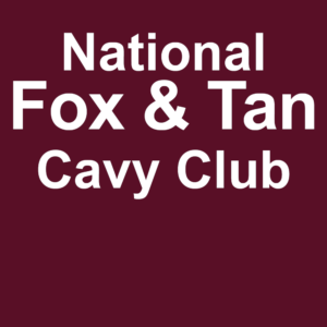 National Fox & Tan Cavy Club