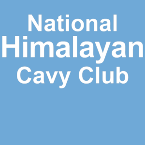National Himalayan & Californian Cavy Club