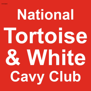 National Tortoise & White Cavy Club