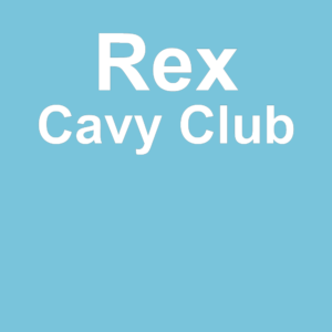 Rex Cavy Club