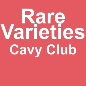 Rare Varieties Cavy Club