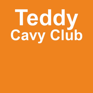 Teddy Cavy Club